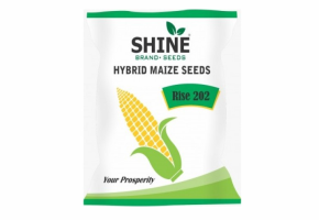 Hybrid Maize Seeds_Rise 202-9.png